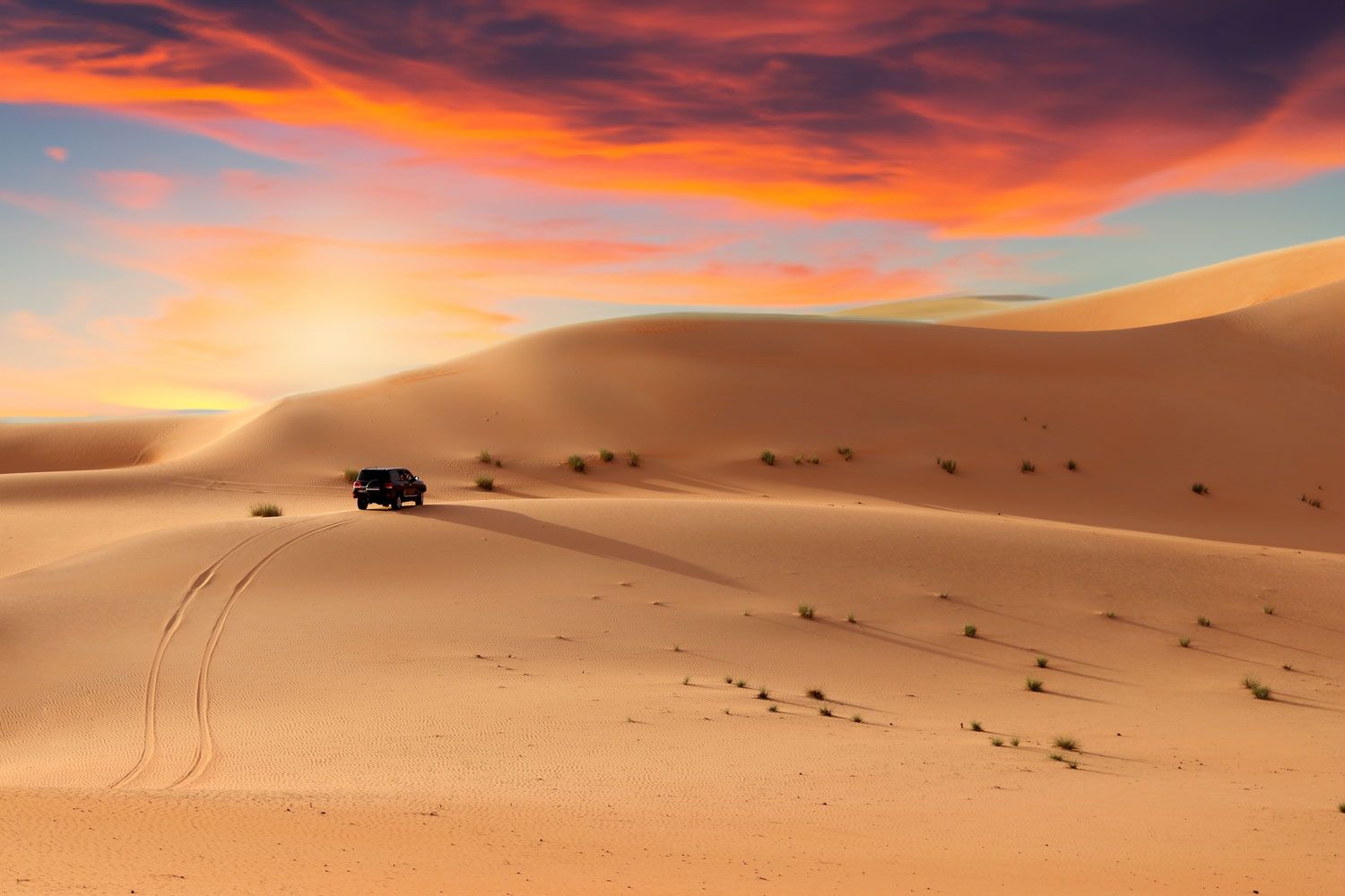 Evening Desert Safari Abu Dhabi