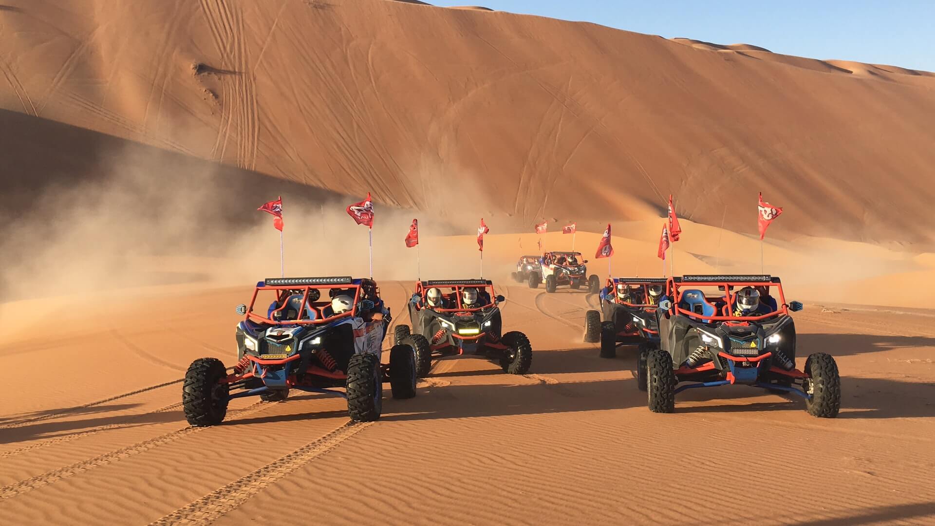 Private Safari With Dune Buggy